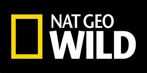 nat geo chanel|Nat Geo live streaming free.